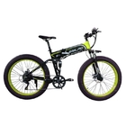 48v 10AH Fat Tire Electric Bike , Foldable Electric Bicycle With Hidden Battery