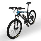 Aluminum Alloy Frame Portable E Bike 26" 350W With Removable 36V 6.8AH L G Lithium Battery