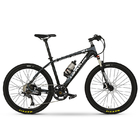 Aluminum Alloy Frame Portable E Bike 26" 350W With Removable 36V 6.8AH L G Lithium Battery