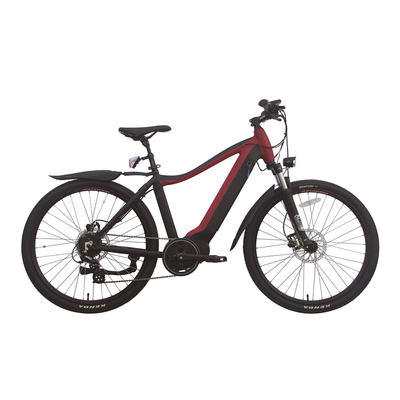 портативный складывая электрический велосипед мотора e эпицентра деятельности велосипеда 350w со съемной батареей 36V 10Ah