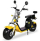 Цикл 1500W скутера жирного колеса Citycoco 2 автошины электрический