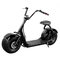 кокосов автошины 1000w 1500w 2000w EEC гольфа скутера Harley больших жирных электрический одобрил