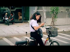 250 Вт недорогой 48 В ЖК-дисплей городской электрический велосипед для бездорожья ЕС 20-дюймовый электрический велосипед 36 В