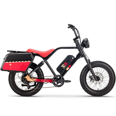 автошина батареи 48v 20AH велосипеда 250W 750w Elektrische Fiets жирная для взрослых